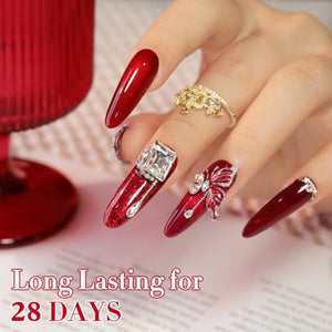 Double Rhythm 6 Pcs 15 ML Gel Polish Set Same Color Same Bottle Soak Off Gel Polish Kit Nail Art Manicure Salon DIY at Home for Women (Jelly Burgundy Red Glitter Silver -T6-56)