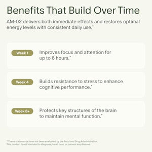 Seed AM-02 Energy + Focus - Daily Nootropic Supplement for Women & Men - Fast-Acting & Sustained Energy for Up to 6 Hours - Caffeine-Free Vegan & Shelf-Stable - 30 Capsules (30-Day Supply)