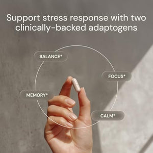 Blueprint Bryan Johnson Ashwagandha & Rhodiola Supplement – 120mg Ashwagandha + Rhodiola Root – Daily Adaptogen Capsules for Stress Support, Mood Balance, Energy & Focus – 30 Vegan Capsules