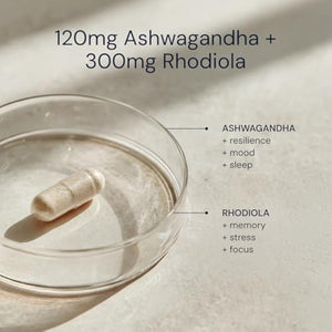 Blueprint Bryan Johnson Ashwagandha & Rhodiola Supplement – 120mg Ashwagandha + Rhodiola Root – Daily Adaptogen Capsules for Stress Support, Mood Balance, Energy & Focus – 30 Vegan Capsules