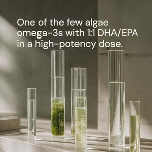Blueprint Bryan Johnson Omega-3 - Vegan Algae Omega 3 Supplement with EPA/DHA - 800mg Plant-Based for Brain, Heart & Joint Support - High Absorption Triglyceride Form - 1:1 EPA/DHA