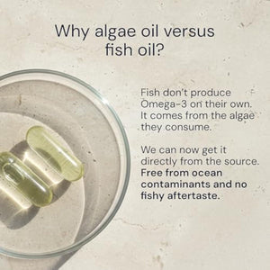 Blueprint Bryan Johnson Omega-3 - Vegan Algae Omega 3 Supplement with EPA/DHA - 800mg Plant-Based for Brain, Heart & Joint Support - High Absorption Triglyceride Form - 1:1 EPA/DHA