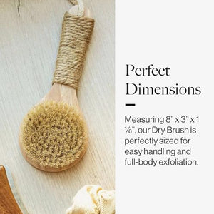 Esker Dry Brush: Skin Exfoliating Full Body Brush for Better Circulation and Energy Flow, Made with Natural Tree Wood, Perfect for Bathing or Shower Routine