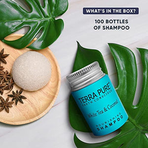 Travel Size Hotel Shampoo 100 Count 1 oz Bottles Guest Amenities for Hotels Vacation Rentals and Short Term Rentals Paraben Free White Tea and Coconut Scent Infused with Aloe & Olive Oil by Terra Pure