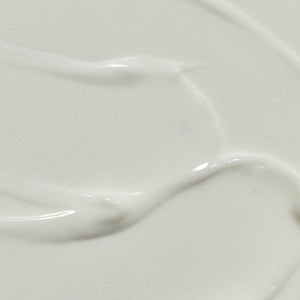 RŌZ Leave-In Conditioner - Lightweight Milk Hair Serum & Heat Protectant for Hydrating Fine, Curly & Wavy Hair | Hydrating, Smoothing, Frizz-Fighting | Silicone-Free, Color-Safe | 3.4 oz