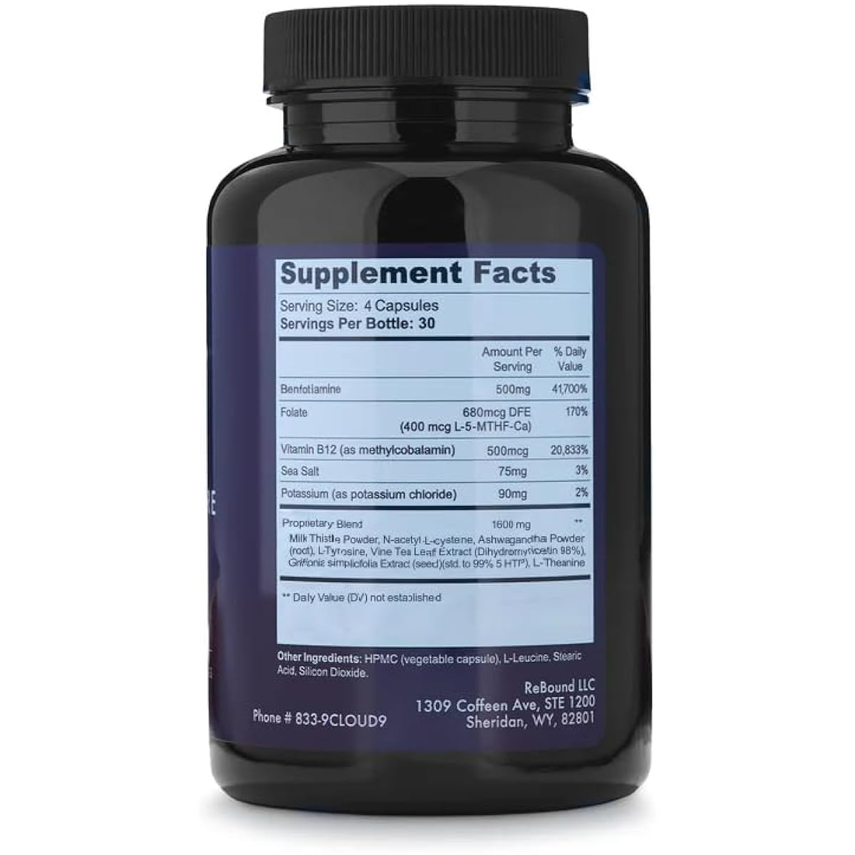 Cloud9 Daily Restore – Liver Detox & Recovery Supplement with Milk Thistle, NAC & B-Vitamins – Energy, Focus & Nutrient Support After Drinking – 120 Capsules – Made in USA