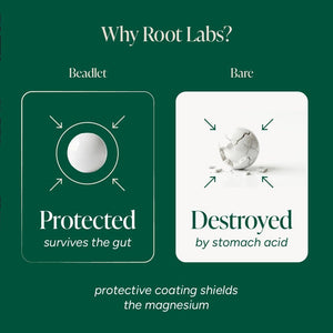 ROOT LABS Liposomal Magnesium Gummies 675mg | Multi-Form Magnesium Salt, Ashwagandha, L-Theanine | High Bioavailability | Stress Relief, Sleep Support & Recovery | 60 Gummies