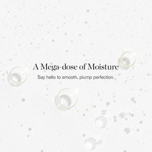 Ogee Hyaluronic Acid HA 1.5% Elixir - Hyaluronic Acid Serum for Face - Plumping & Hydrating Serum for Fine Lines and Wrinkles - 70% Organic Ingredients & Made in USA