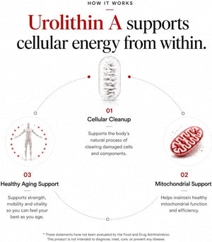Urolithin A PRO Capsules - 1000mg, 120 Ct - Ultra Micronized Urolithin A Supplement for Mitochondrial Support, Cellular Health, Muscle Function & Healthy Aging