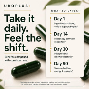 Urolithin A Supplement - 1250mg 10-in-1 Liposomal Complex - NAD+, Nicotinamide Riboside & Resveratrol Mitochondrial, Cellular Energy & Longevity Support, Healthy Aging & Muscle Recovery - 60 Veg Caps