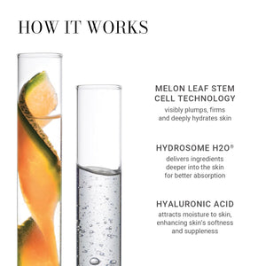 Meaningful Beauty Youth Activating Melon Serum