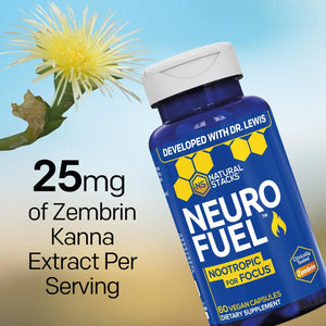 NATURAL STACKS NeuroFuel Nootropic with Zembrin - Doctor Developed Memory & Focus Supplement - Kanna Extract Sceletium Tortuosum - Nootropic Brain Supplement for Focus - 60 Zembrin Capsules