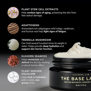 Caldera + Lab Men’s Skincare Set – The Regimen Rich: Cleanser, Moisturizer & Night Serum | Hydrating, Firming & Smoothing | Niacinamide, Clean, All Skin Types