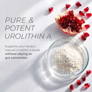 Urolithin A Supplement Gummies 500mg with Trans-Resveratrol, CoQ10 Mitochondrial & Cellular Energy Support for Healthy Aging, Muscle Strength & Longevity Vegan, Non-GMO, 60 Count