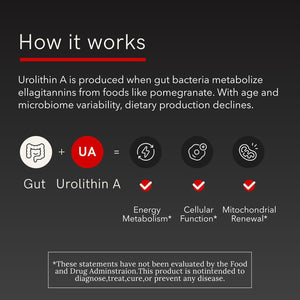 ZAB Urolithin A Supplement 700mg Per Serving Mitochondrial Supplements Support Energy Metabolism Cellular Health for Men & Women, Vegan, 90 Capsules, 45 Servings