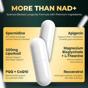 UPLIFE NAD+ Supplement 1,372mg Liposomal NAD+ with CoQ10, Resveratrol, Spermidine, L-Theanine, Apigenin & PQQ NMNH Alternative Booster for Cellular Energy, Healthy Aging, Immune Health 120 Capsules