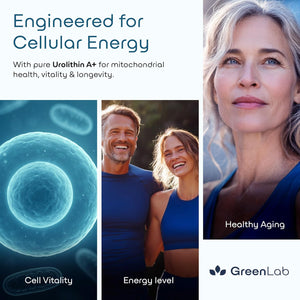 GreenLab Urolithin A+ 1500mg | Urolithin A Supplement for Energy, Mitochondrial Function, Cellular Support & Overall Wellness