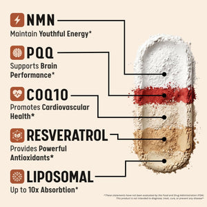 5-In-1 NAD+ Supplement | NMN + Resveratrol + CoQ10 + PQQ + Liposomal, NAD Supplement for Women & Men, Supports Cellular Energy, Heart, Brain and Healthy Aging –Third-Party Tested, 60 Vegan Capsules