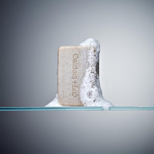 Caldera + Lab The Body Bar Exfoliating Soap– Certified, Vegan, Exfoliating and Organic Bar Soap with Antioxidant Botanicals