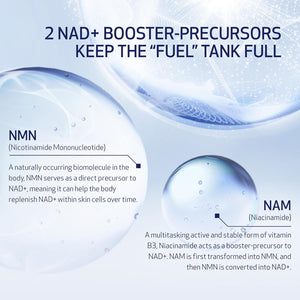 Obagi NU-GEN NAD+ Cellular Renewal Face Serum with Niacinamide & NMN – Clinically Proven Anti-Aging Serum Reduces Wrinkles & Dark Spots, Supports Collagen Production, Hydrates & Repairs Skin