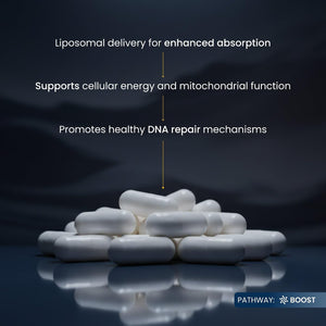 Renue By Science NMN Supplement | 90 Liposomal NMN Capsules - 500mg NMN Nicotinamide Mononucleotide per Serving | Bioavailable Formula for Increased Absorption | Manufactured in the USA