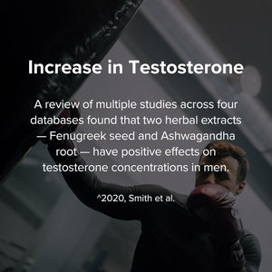 Peak Potential 12-in-1 Testosterone Support for Men – Fenugreek, Ashwagandha & Tongkat Ali – Natural Strength, Energy & Muscle Builder – 90 Capsules