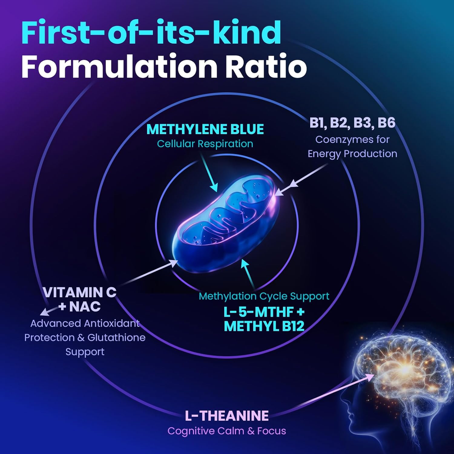Methylene Blue Pharmaceutical Grade Capsules for Humans - Triple-Pathway Formula with Pure MB, NAC, L-5-MTHF, L-Theanine& Methyl B12 | Cognition, Mental Clarity, Cellular Energy & Antioxidant Support