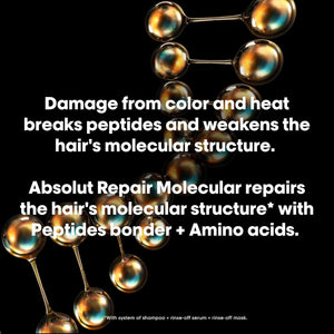 L'Oréal Professionnel Paris Absolut Repair Molecular Hair Mask - Bond Building & Repair, For All Color Treated and Damaged Hair, With Peptide Bonder & Amino Acids