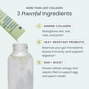 bird&be Triple Power Marine Collagen Powder | Hydrolyzed Peptides + Probiotics + NAD+ Precursor (NR) | Anti-Aging Skin, Hair, Nails & Gut Health & Cellular Energy | Unflavored Stick Packs