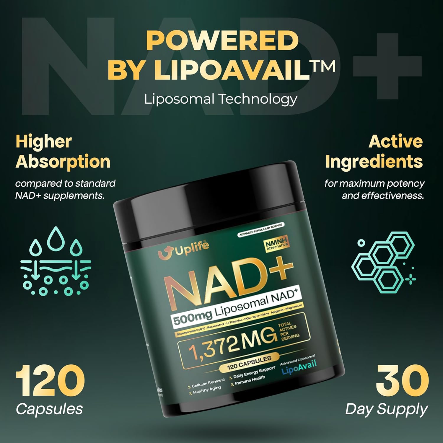 UPLIFE NAD+ Supplement 1,372mg Liposomal NAD+ with CoQ10, Resveratrol, Spermidine, L-Theanine, Apigenin & PQQ NMNH Alternative Booster for Cellular Energy, Healthy Aging, Immune Health 120 Capsules