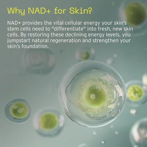 Aramore NAD+ Cell Energizing Treatment, Skin Care for Face (50ml) | Targets the Look of 12 Signs of Aging, Visibly Firms, Smooths & Hydrates Skin, Vegan, Fragrance-Free, Clinically Tested