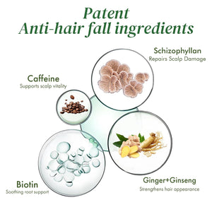 Saw Palmetto Follicle Boost Scalp Serum for Thinning Hair, Clinically Tested Hair & Scalp Treatment, Drug-Free Hormone-Free, Non-Greasy Formula with Peptides, Caffeine & Biotin
