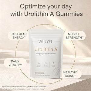 Urolithin A Supplement Gummies 500mg with Trans-Resveratrol, CoQ10 Mitochondrial & Cellular Energy Support for Healthy Aging, Muscle Strength & Longevity Vegan, Non-GMO, 60 Count