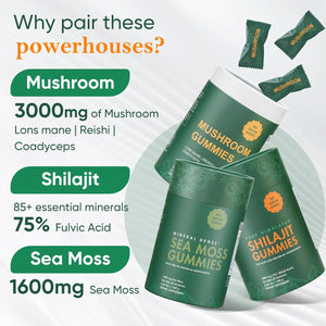 Bundle of Shilajit, Sea Moss & Mushroom Gummies with Lions Mane, Reishi, Cordyceps, Ashwagandha, 75%+ Fulvic Acid, 92+ Minerals All in 1 Supplements (1 Pack)