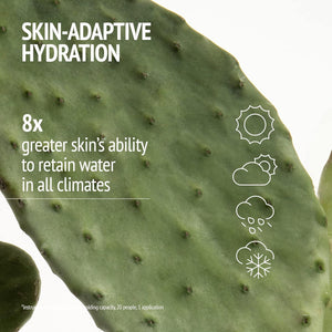 [ comfort zone ] Hydramemory Light Sorbet Cream, Hydrating Face Gel, Non Greasy, Climate Adaptive, Immediate Glow, Softens, Vegan, Prickly Pear, Hyaluronic Acid, Combination Skin, Daily, 2.03 Fl Oz
