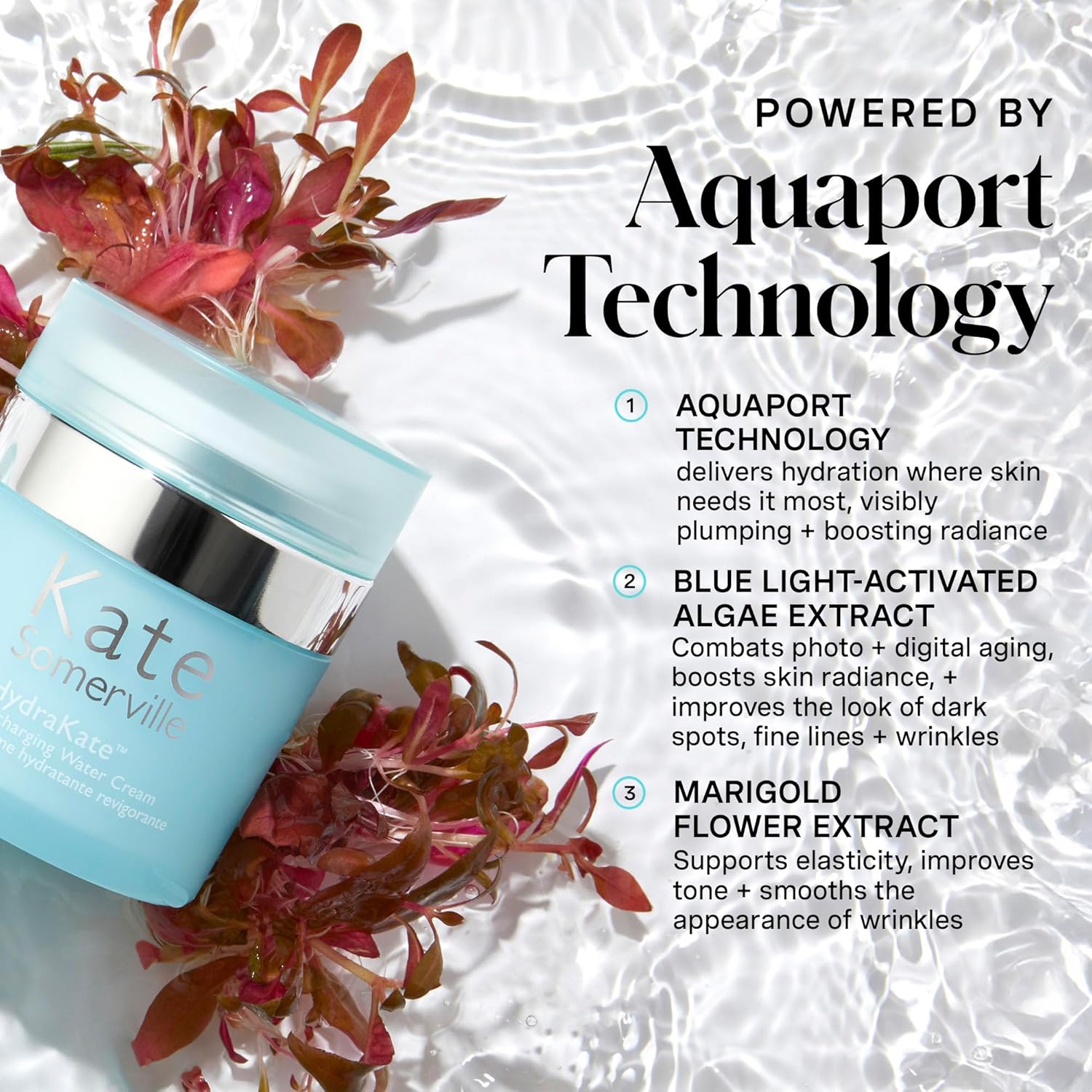 Kate Somerville HydraKate Recharging Water Cream – Facial Moisturizer, Recovers & Recharges Dry, Tired Skin, 1.7 Fl Oz