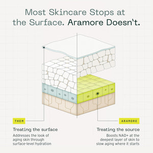 Aramore NAD+ Cell Energizing Treatment, Skin Care for Face (50ml) | Targets the Look of 12 Signs of Aging, Visibly Firms, Smooths & Hydrates Skin, Vegan, Fragrance-Free, Clinically Tested