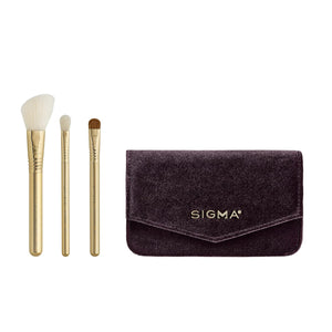 Sigma Beauty Travel Essential Trio - Makeup Brush Set for Foundation Powder Eyeshadow - 3 Tool Brushes with Brush Tin Holder - Skin Safe, Vegan Makeup Brushes for Travel - Black