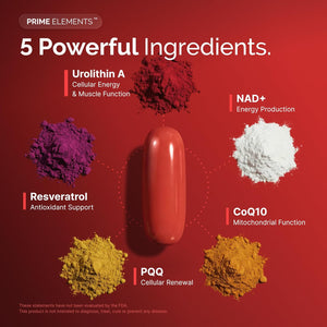 Urolithin A Supplement with NAD+, Resveratrol, CoQ10 & PQQ, High Potency 5-in-1 Longevity Formula, Mitochondrial Support for Healthy Aging, Energy & Muscle Strength, 120 Softgels - 2 Month Supply